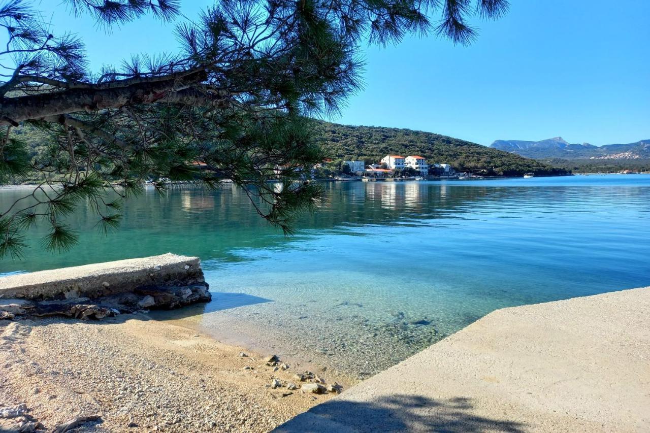 Apartments By The Sea Luka Dubrava, Peljesac - 14040 Putniković المظهر الخارجي الصورة
